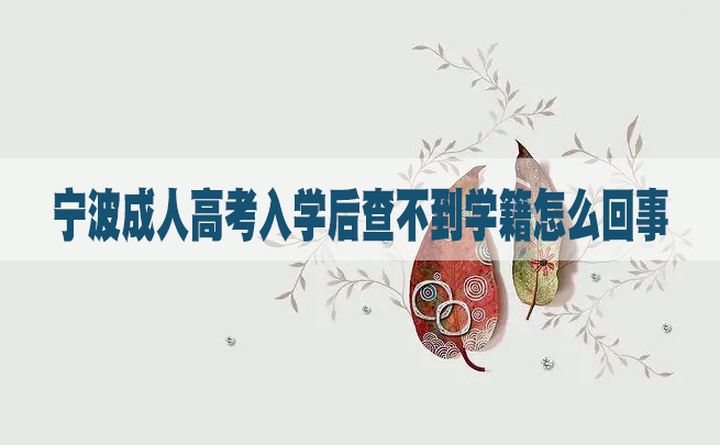 宁波成人高考入学后查不到学籍怎么回事？